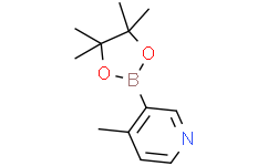 4-甲基吡啶-3-硼酸频哪醇酯