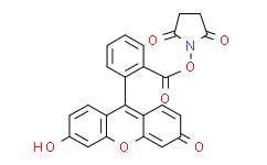 5(6)-羧基荧光素 N -羟基琥珀酰亚胺酯