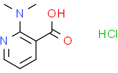 2-(二甲基氨基)吡啶-3-羧酸盐酸盐