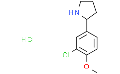2-(3-氯-4-甲氧基苯基)吡咯烷盐酸盐