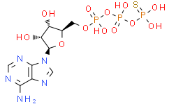 Phosphothiophosphoric acid-adenylate ester