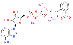 腺苷5'-三磷酸P3-[1-(2-硝基苯基)乙基酯]三钠盐