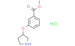 3-(吡咯烷-3-基氧基)苯甲酸甲酯盐酸盐