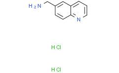 喹啉-6-基甲胺二盐酸盐