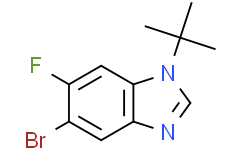 5-溴-1-叔丁基-6-氟苯并咪唑