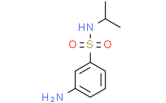 N-异丙基3-氨基苯磺酰胺