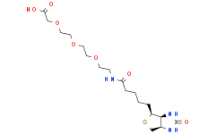 生物素-PEG3-乙酸