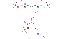 Spermine(N3BBB)