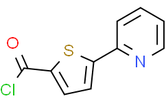 5-(2-吡啶基)噻吩-2-甲酰氯