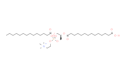 1-肉豆蔻酰-2-(14- carboxymyristoyl)-sn-甘油-3-磷酸胆碱