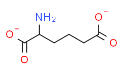 L-α-Aminoadipic Acid