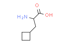 (S)-2-氨基-3-环丁基丙酸