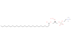 1-十六烷酰基-2-羟基-sn-甘油-3-磷酸胆碱