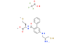 FTI 277,FTI 276的前药形式