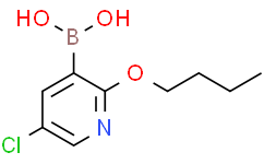 2-丁氧基-5-氯吡啶-3-硼酸