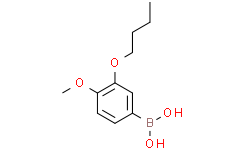 3-丁氧基-4-甲氧基苯基硼酸