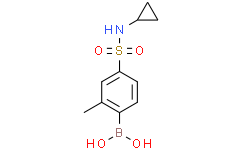 4-(N-环丙基氨磺酰基)-2-甲基苯基硼酸