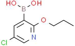 5-氯-2-丙氧基吡啶-3-硼酸