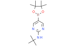 2-叔丁基氨基嘧啶-5-硼酸频哪醇酯
