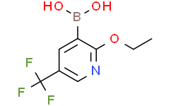 2-乙氧基-5-(三氟甲基)吡啶-3-硼酸