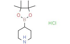 Piperidine-4-boronic acid pinacol ester hydrochloride,1218790-99-8