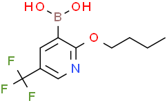 2-丁氧基-5-(三氟甲基)吡啶-3-硼酸