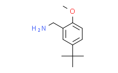 (5-Tert-butyl-2-methoxyphenyl)methanamine