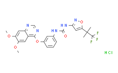 Agerafenib hydrochloride