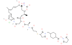 SMCC-DM1