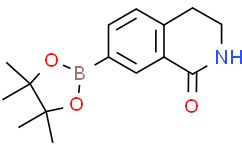 7-(4,4,5,5-四甲基-1,3,2-二氧硼杂环戊烷-2-基)-3,4-二氢异喹啉-1(2H)-酮