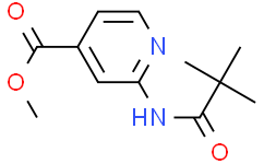 2-新戊酰胺异烟酸甲酯