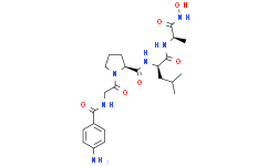 4-氨基苯甲酰基-甘氨酰-脯氨酰-D-亮氨酰-D-丙氨酰异羟肟酸
