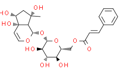 6'-O-肉桂酰基哈巴苷