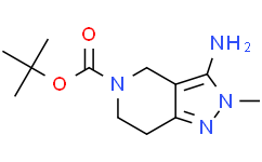3-氨基-2-甲基-2,4,6,7-四氢-5H-吡唑并[4,3-c]吡啶-5-羧酸叔丁酯