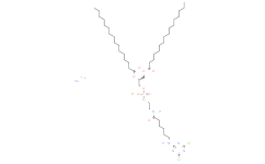 1,2-二棕櫚?；?sn-甘油-3-磷酸乙醇胺-N-{6-[((氰尿基)氨基]己?；鶀}(鈉鹽)