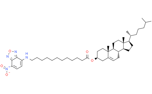 5-胆甾烯-3β-醇12-[((7-硝基-2-1,3-苯并恶二唑-4-基)氨基]十二烷酸酯