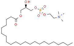 1-己烯基-2-羟基-sn-甘油-3-磷酸胆碱