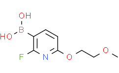 2-氟-6-(2-甲氧基乙氧基)吡啶-3-硼酸