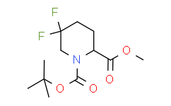 1-叔丁基 2-甲基 5,5-二氟哌啶-1,2-二羧酸酯