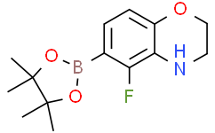 5-氟-6-(4，4，5，5-四甲基-1，3，2-二氧杂硼烷-2-基)-3，4-二氢-2H-苯并[b][1，4]噁嗪