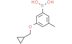 3-(环丙基甲氧基)-5-甲基苯基硼酸