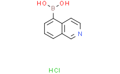 异喹啉-5-硼酸 盐酸盐
