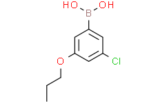 3-氯-5-丙氧基苯基硼酸