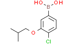 4-氯-3-异丁氧基苯基硼酸