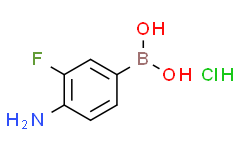 4-氨基-3-氟苯基硼酸盐酸盐