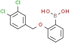 2-(3,4-二氯苯基甲氧基)苯基硼酸