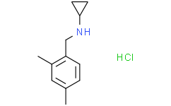 N-环丙基2,4-二甲基苄胺盐酸盐