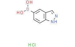 1H-吲唑-5-硼酸 盐酸盐