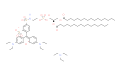 罗丹明DHPE [罗丹明B 1,2-二十六烷酰基-sn-甘油-3-磷酸乙醇胺,三乙铵盐]