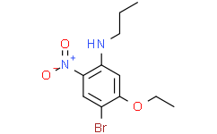 4-溴-5-乙氧基-2-硝基-N-丙基苯胺